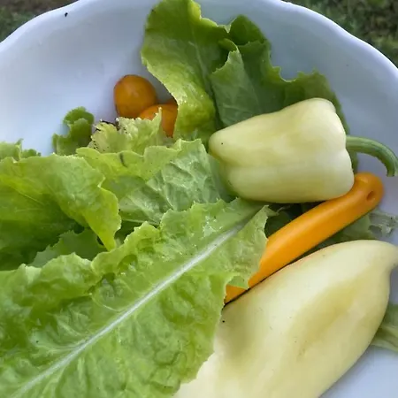 度假居 In Der 1 希欧福克