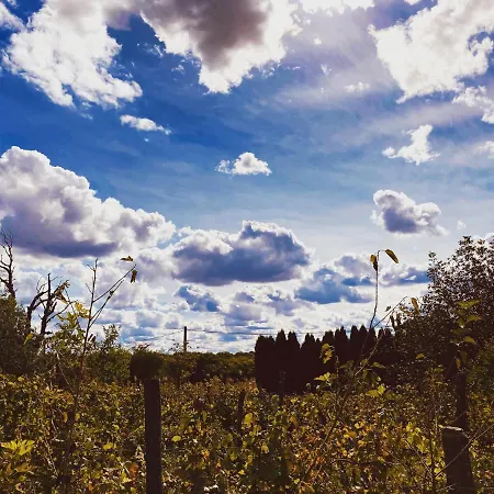 Ferienhaus In Der 1 Siófok