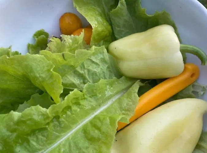 Feriehus In Der 1 Siófok