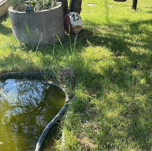 In Der 1 Feriehus Siófok