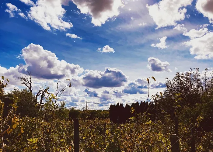 別荘 In Der 1 シオーフォク